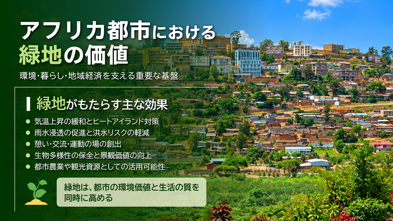 論文発表 パワーポイント例 アフリカ都市緑地